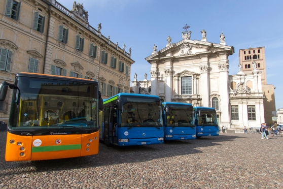 apam mantova