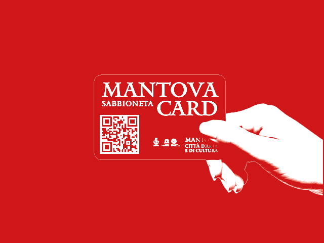servizi_mantova_card